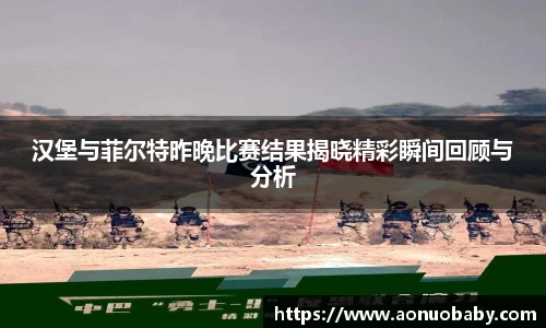 汉堡与菲尔特昨晚比赛结果揭晓精彩瞬间回顾与分析